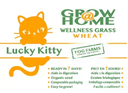 LUCKY KITTY CAT GRASS GROWING KIT WHEAT GRASS 200G