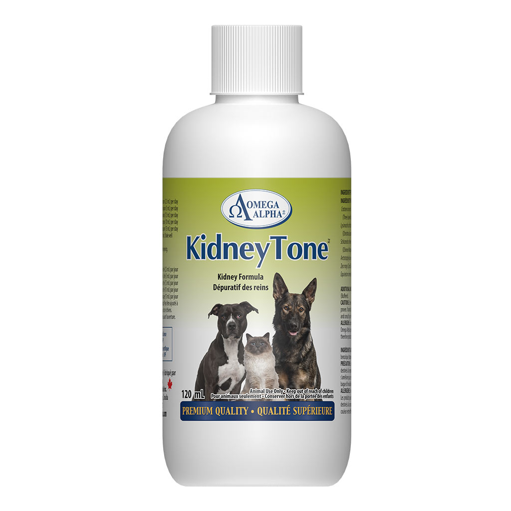SO - OMEGA ALPHA PET KIDNEY TONE 120ML
