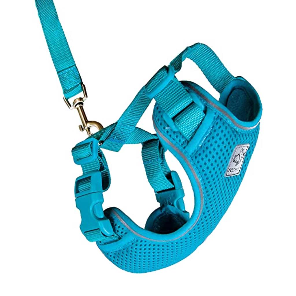 DMB - RC PETS ADVENTURE KITTY HARNESS MED TEAL