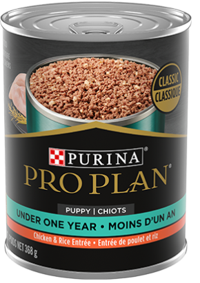 PRO PLAN PUPPY PATE CHICKEN & RICE 368G