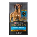 PRO PLAN DOG LARGE BREED CHICKEN & RICE 15.4KG