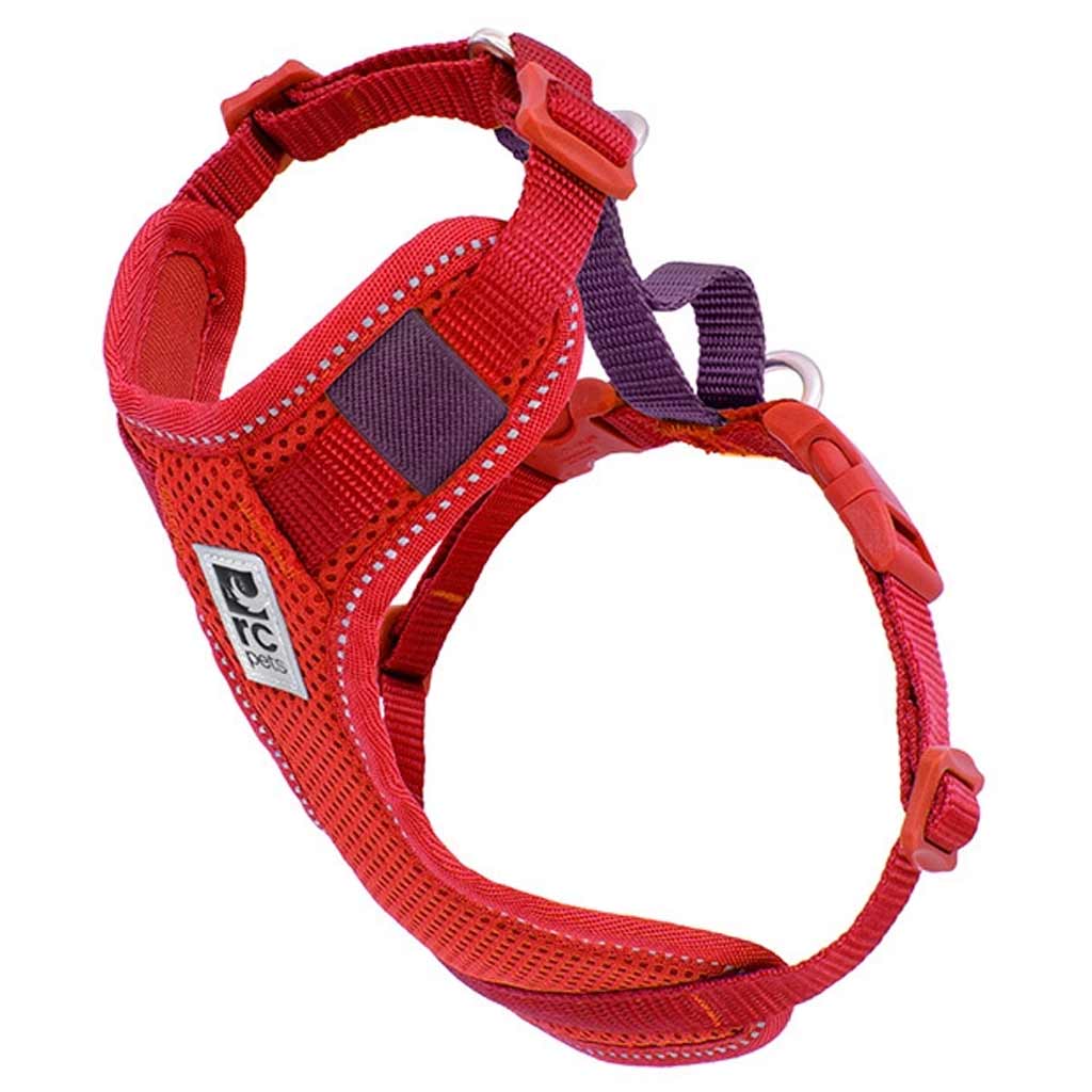 RC PETS MOTO CONTROL HARNESS BERRY/BURGUNDY M