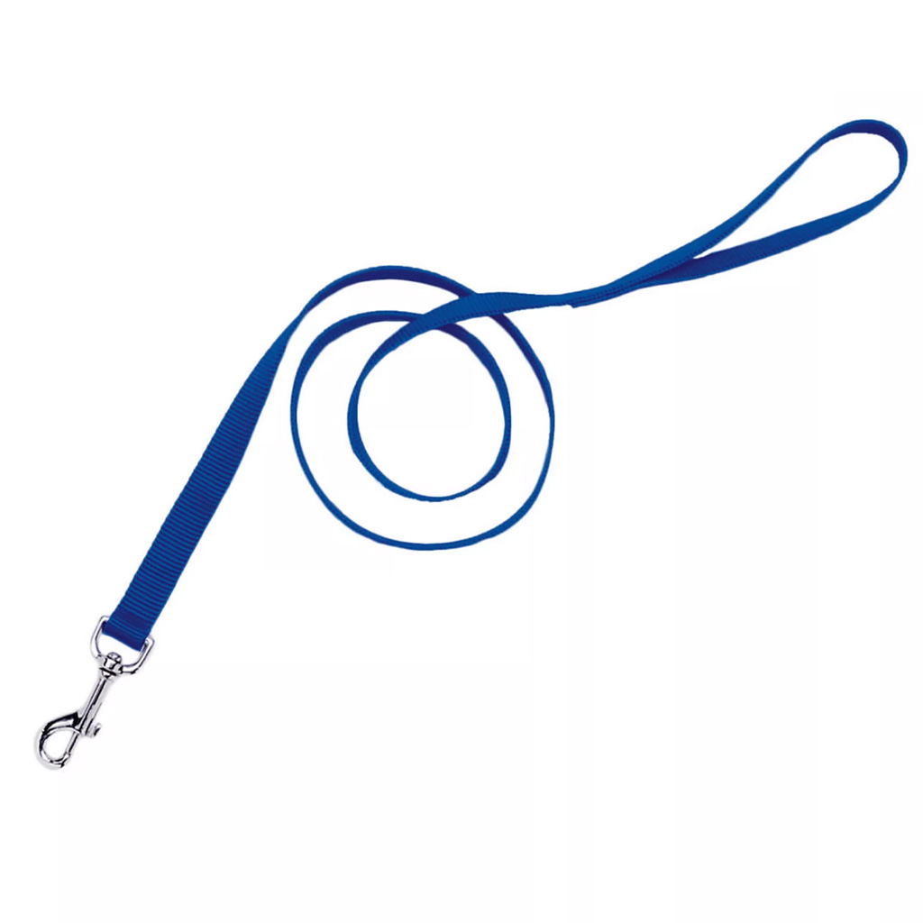 COASTAL SINGLE PLY DOG LEASH BLUE 3/4"X6' 