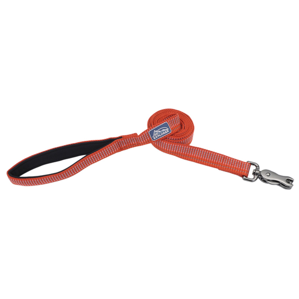 COASTAL K9 EXPLORER REFLECTIVE LEASH CANYON 1"X6'