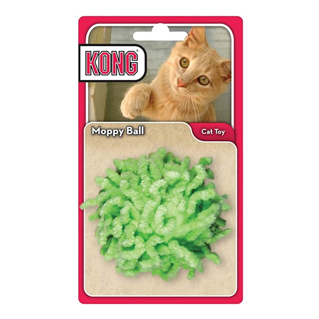 DV - KONG MOPPY BALL