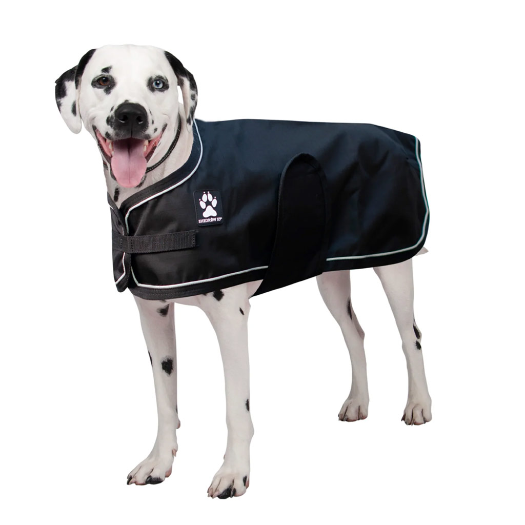 DV - SHEDROW K9 HARBOUR RAIN JACKET BLACK MS