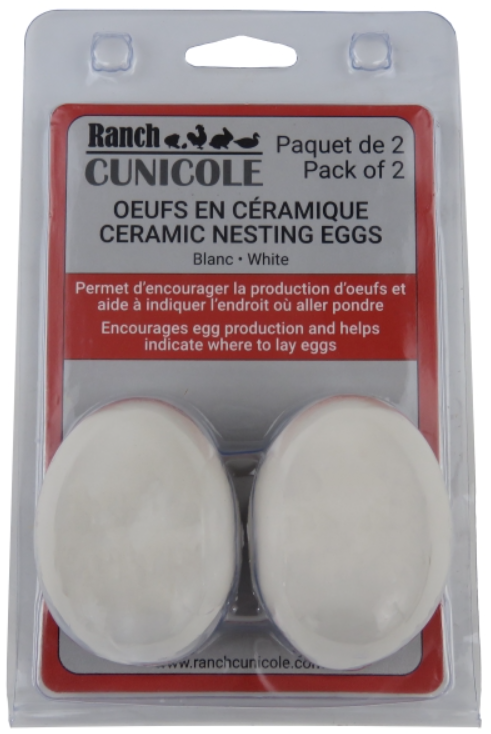WHITE CERAMIC EGGS 2PK