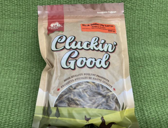 CLUCKIN' GOOD BLACK SOLDIER FLY LARVAE 200G