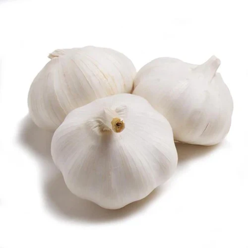 CARROTHERS GARLIC BULBS (3PK)
