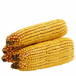 [10047442] DMB - WBT CORN ON THE COB 5 PACK