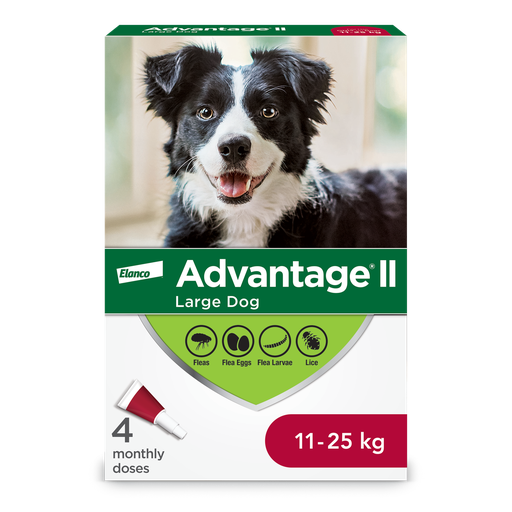 [10080200] ADVANTIX II 4 DOSE DOGS 11-25KG