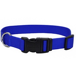 [10080796] COASTAL ADJUSTABLE DOG COLLAR PLASTIC BUCKLE BLUE 3/4&quot;X14-20&quot;