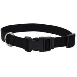 [10080804] COASTAL ADJUSTABLE DOG COLLAR PLASTIC BUCKLE BLACK 1&quot;X14-20&quot;