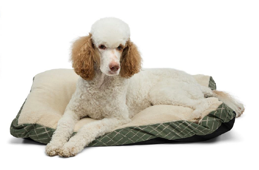 [10105210] CARPENTER GABBY PET BED 30" x 40" x 3" FIBER GUSSETED PILLOW