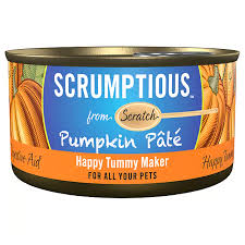 [10105718] SCRUMPTIOUS FROM SCRATCH CAT PUMPKIN PATE 79G