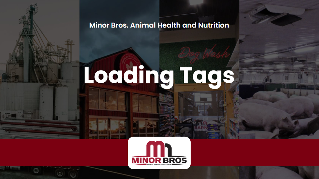 2026 Loading Tags
