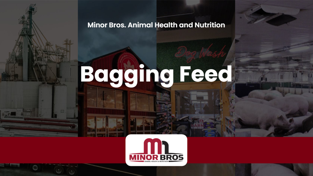 2026 Bagging Feed
