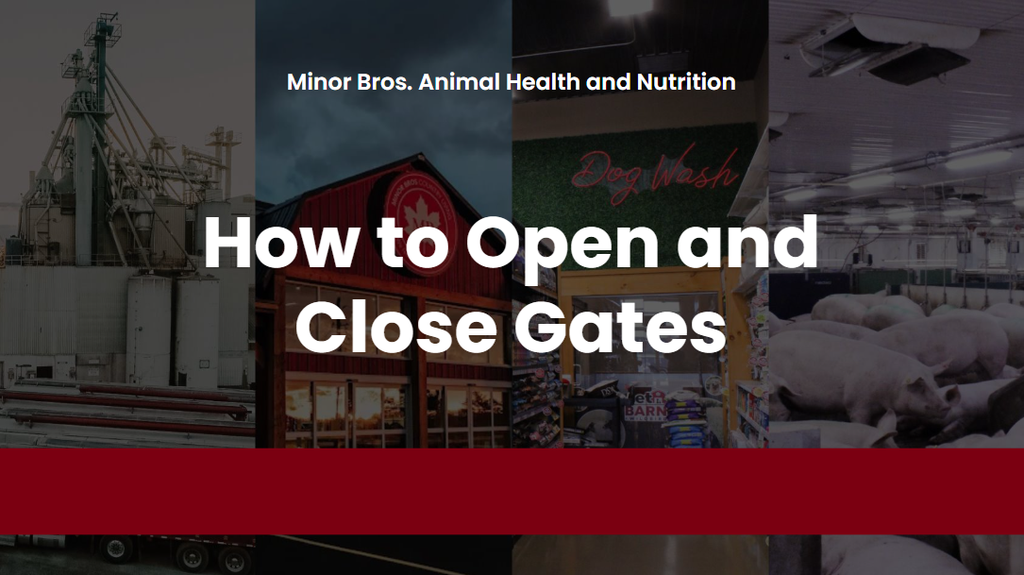 2026 How to Open and Close the Gates
