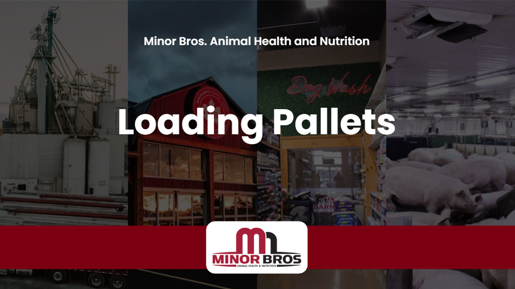 2026 Loading Pallets
