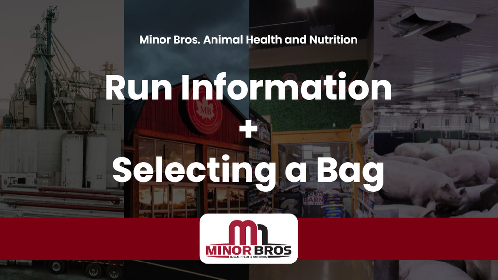 2026 Run Information + Selecting a Bag