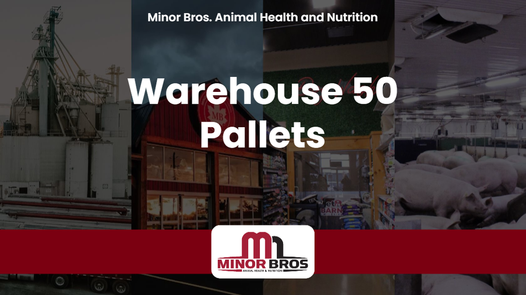 2026 WH50 Pallets