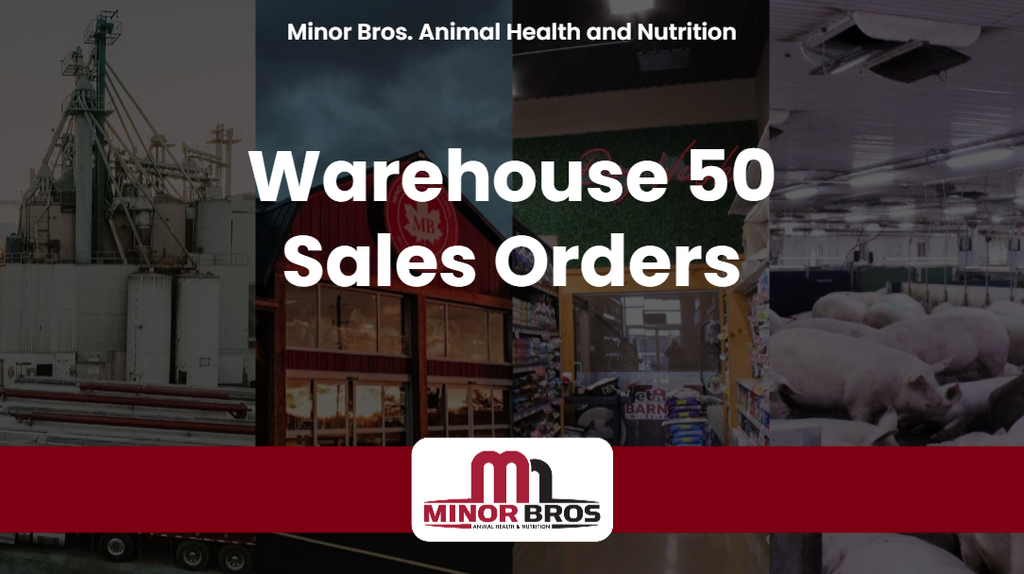 2026 WH50 Sales Orders