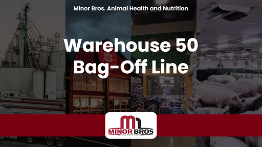 2026 WH50 Bag - Off Line
