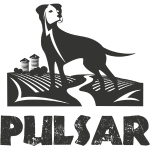 Pulsar